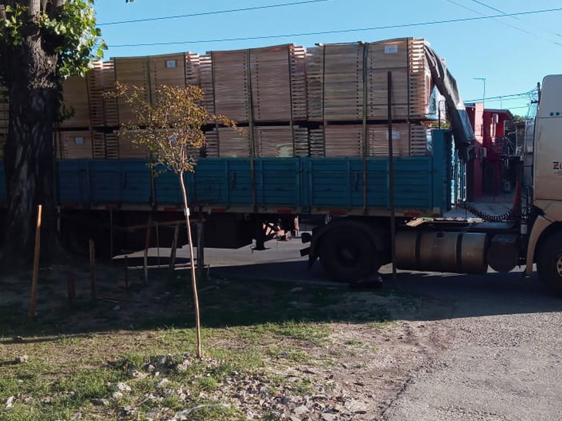 Reposeras de madera